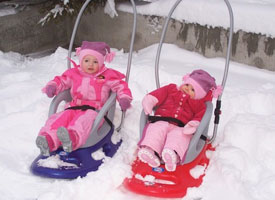 puschair sledge
