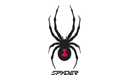 Spyder